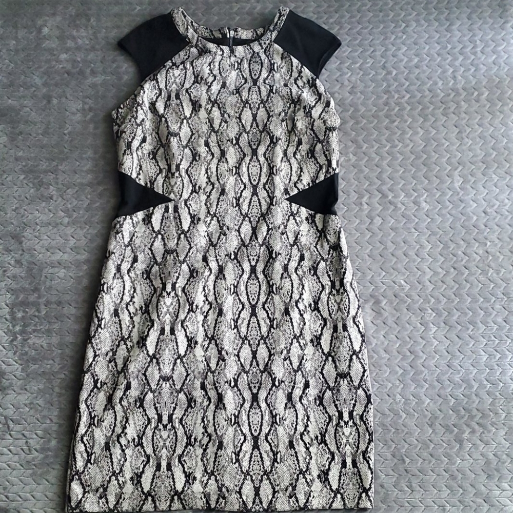 Snake Print Dress
